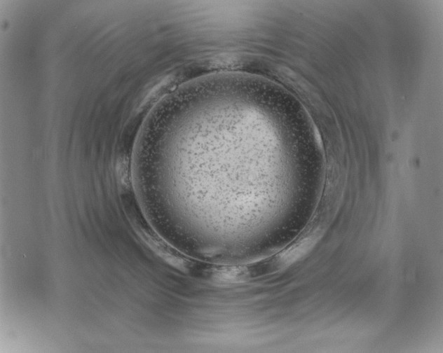 X0000074230096200609011252