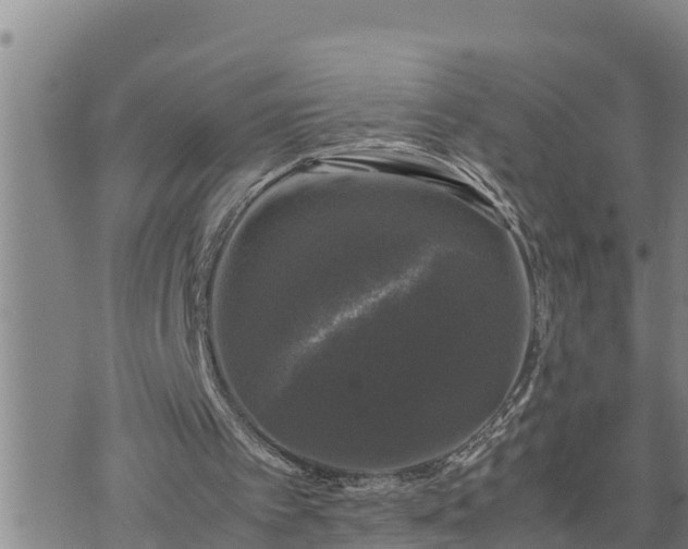 X0000074230097200609011252