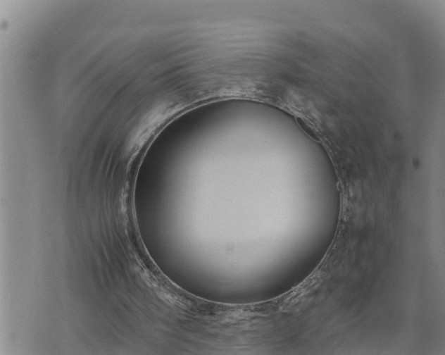 X0000074230098200609011252