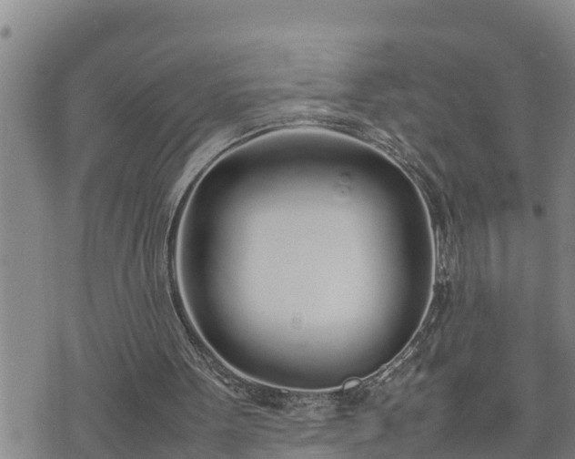 X0000074230099200609011252