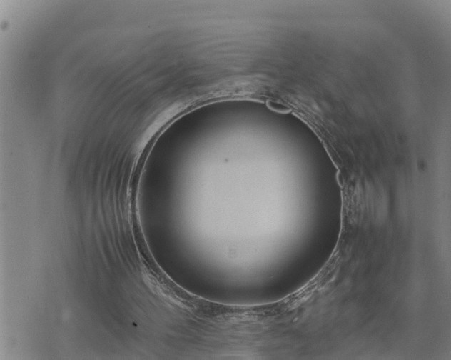 X0000074230100200609011252