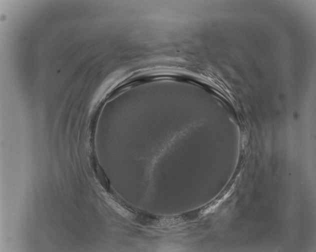 X0000074230101200609011252