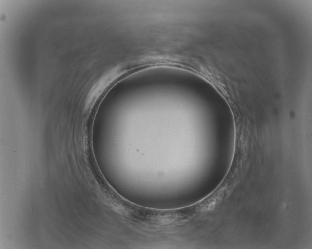 X0000074230103200609011252