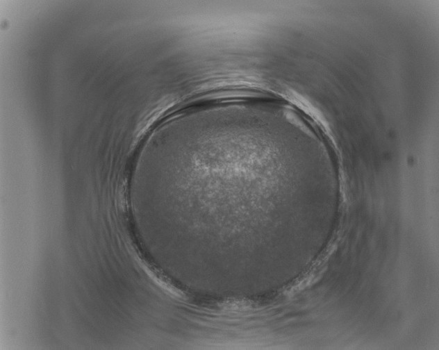 X0000074230105200609011252