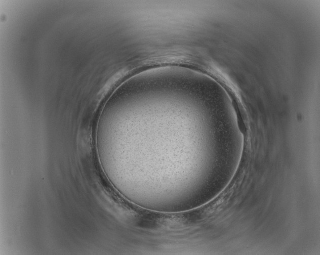 X0000074230107200609011252