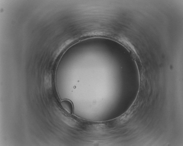 X0000074230108200609011252