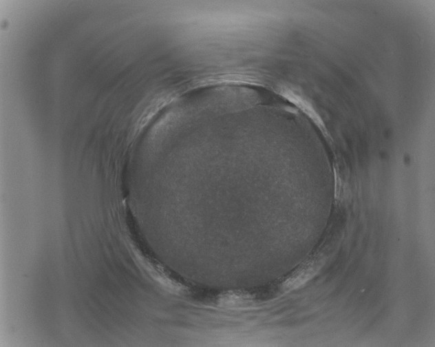 X0000074230109200609011252