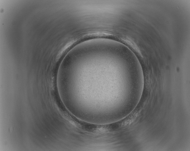 X0000074230111200609011251