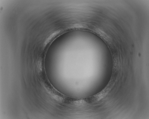 X0000074230112200609011251