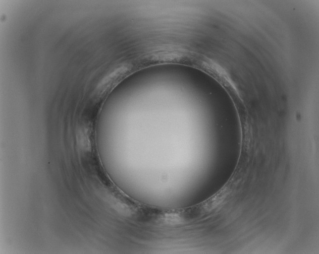 X0000074230114200609011251