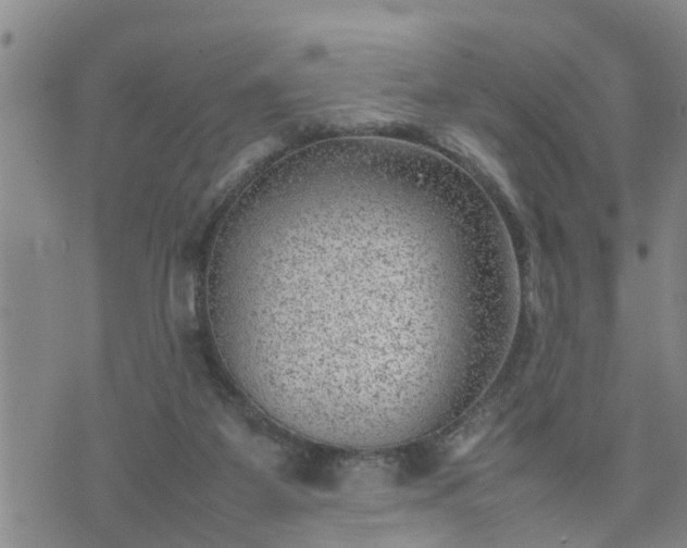 X0000074230115200609011251