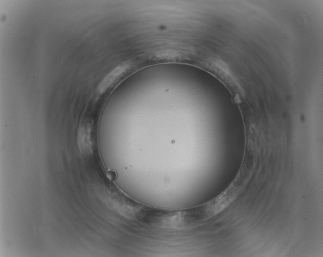 X0000074230116200609011251