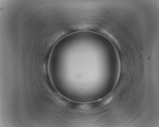 X0000074230117200609011251