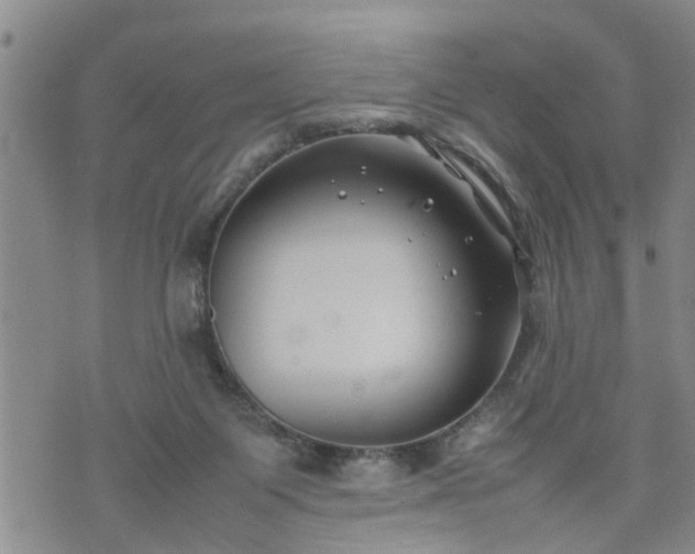 X0000074230119200609011251