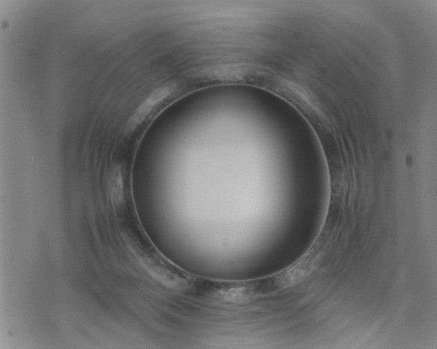 X0000074230120200609011251