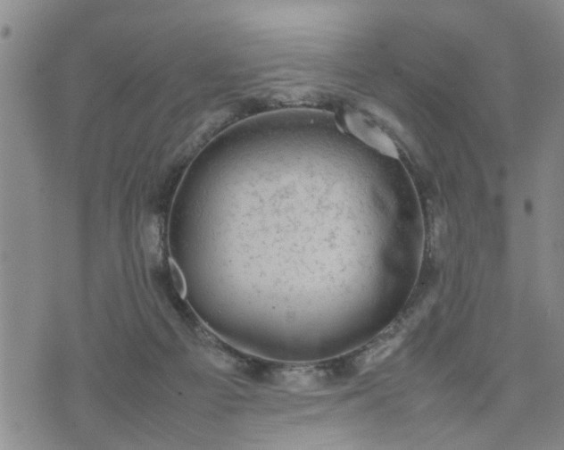 X0000074230121200609011251