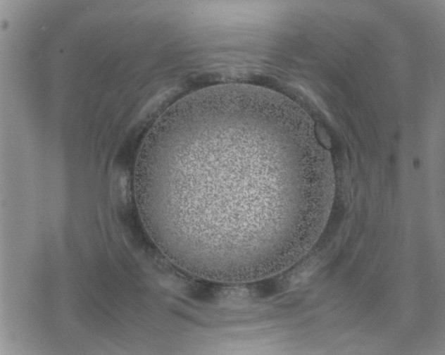 X0000074230123200609011251