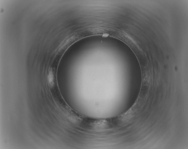 X0000074230124200609011251