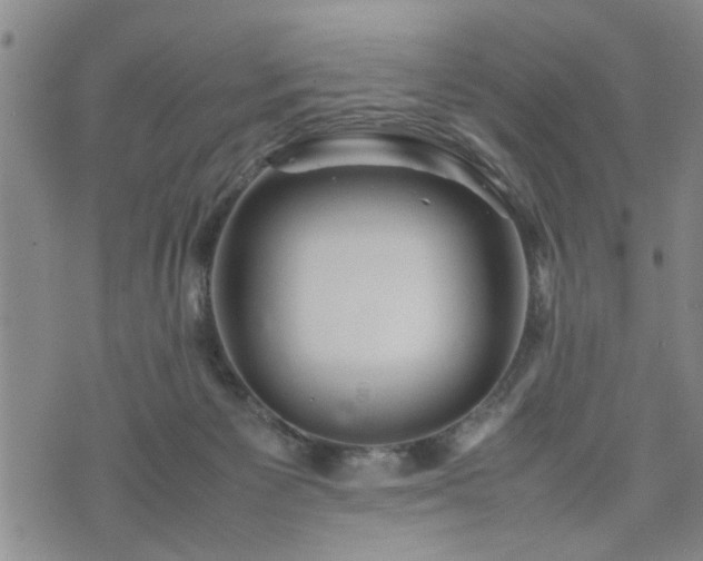 X0000074230125200609011251