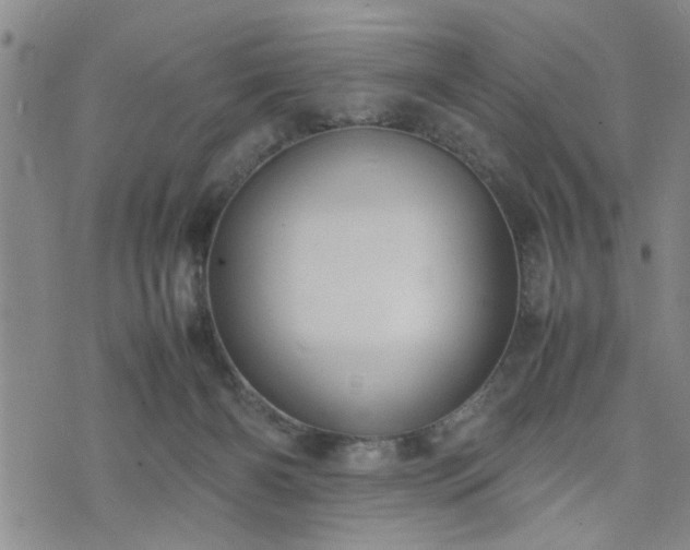 X0000074230126200609011251