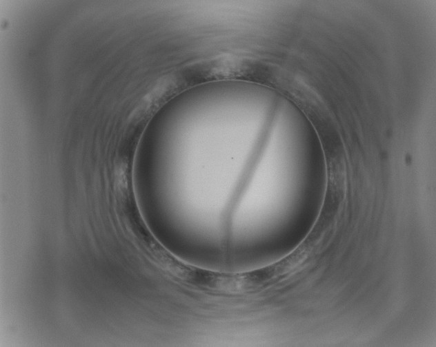 X0000074230127200609011251