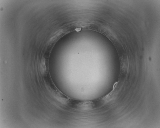 X0000074230128200609011251