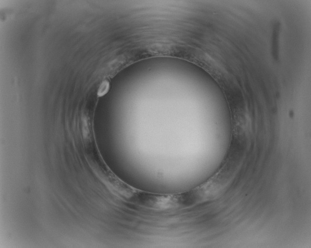 X0000074230130200609011251