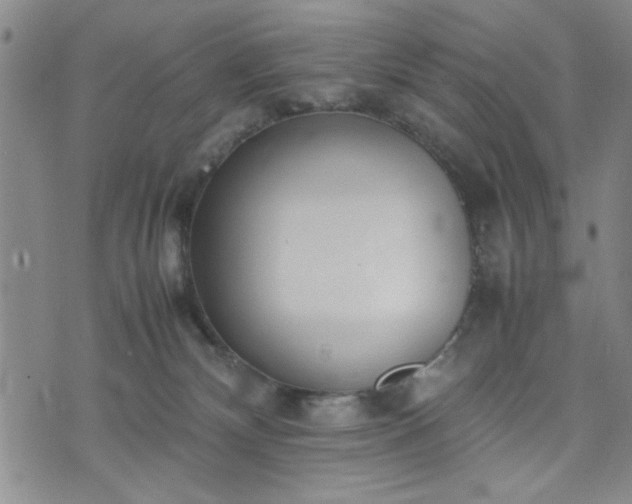 X0000074230132200609011251