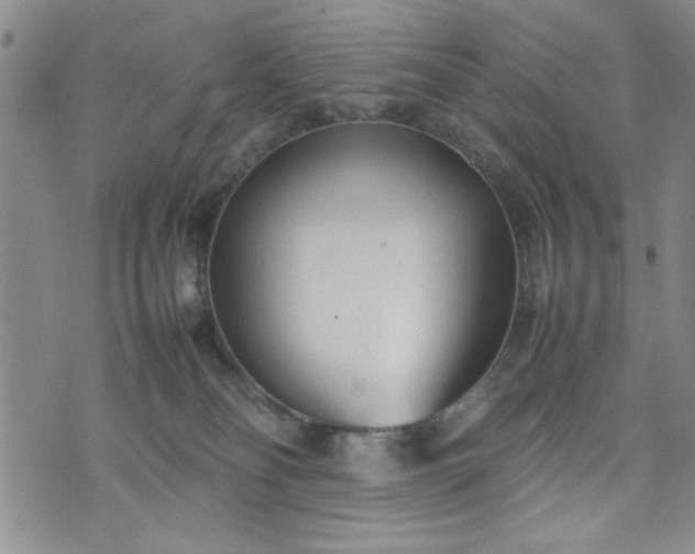 X0000074230134200609011251