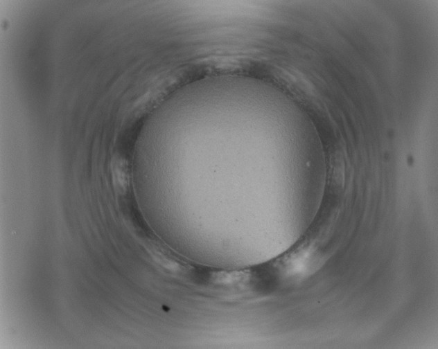 X0000074230135200609011251