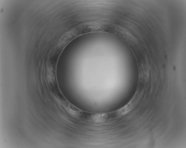 X0000074230136200609011251