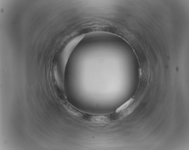 X0000074230137200609011251