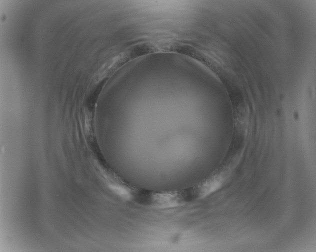 X0000074230139200609011251