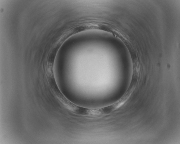 X0000074230141200609011251