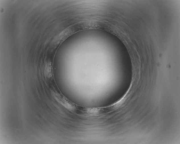 X0000074230144200609011251