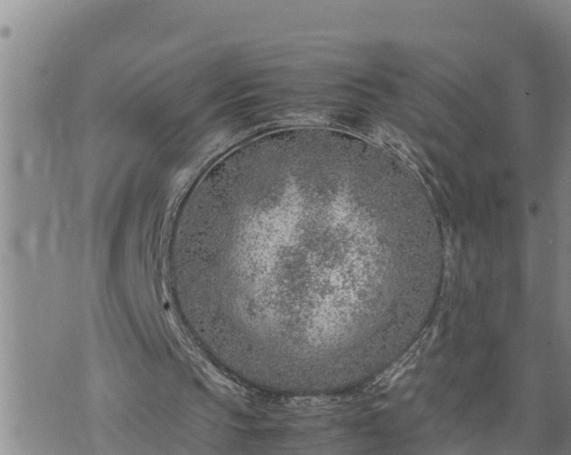 X0000074230145200609011250