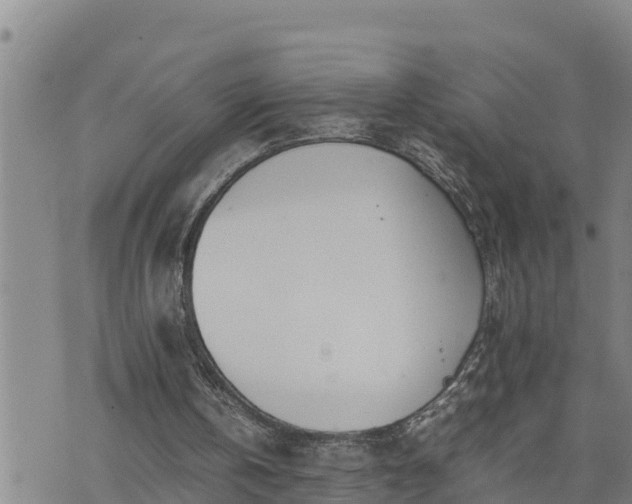 X0000074230146200609011250