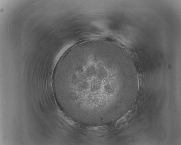 X0000074230147200609011250