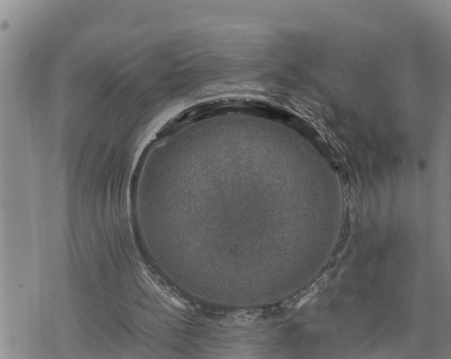 X0000074230148200609011250