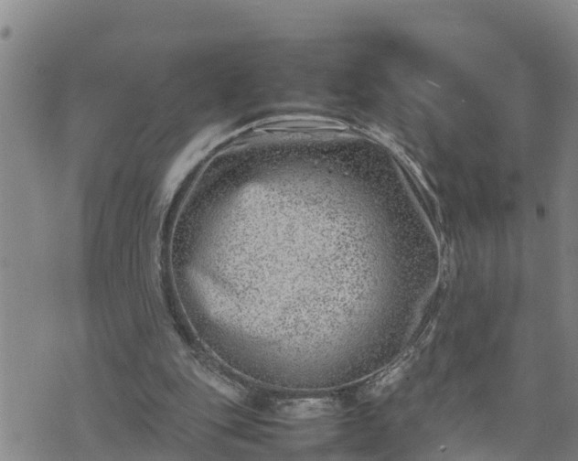 X0000074230151200609011250