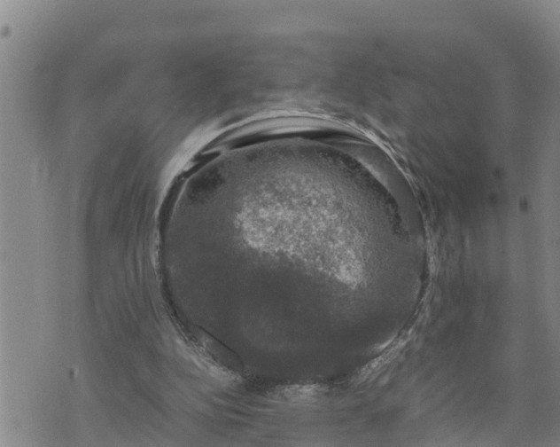 X0000074230152200609011250