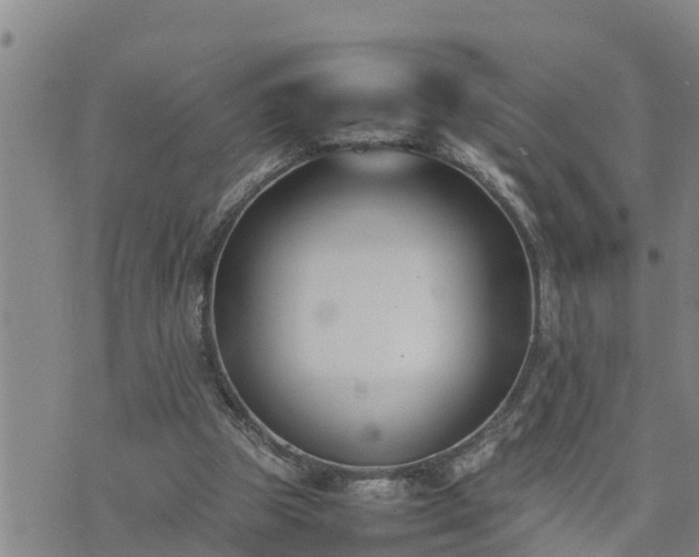 X0000074230153200609011250