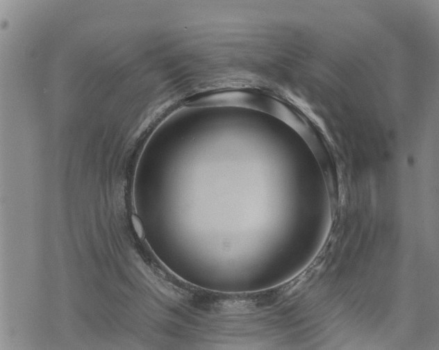 X0000074230154200609011250