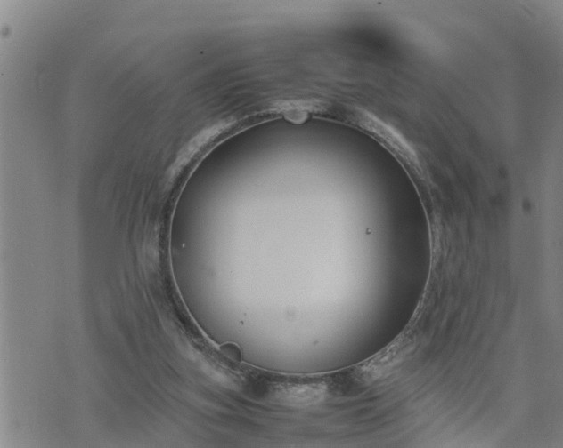 X0000074230155200609011250