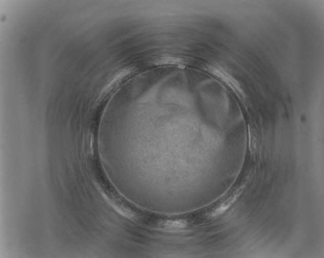 X0000074230157200609011250