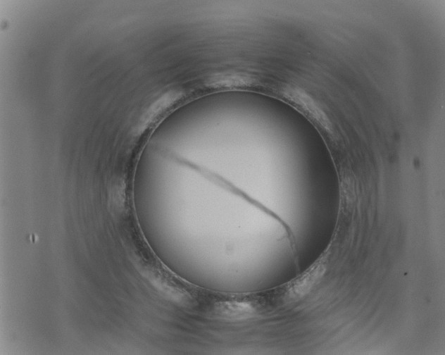 X0000074230159200609011250