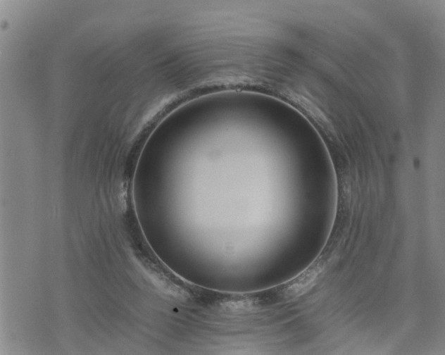 X0000074230160200609011250