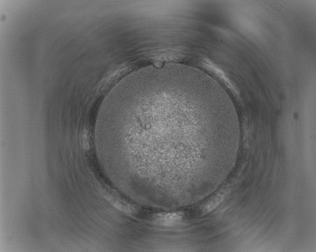 X0000074230161200609011250