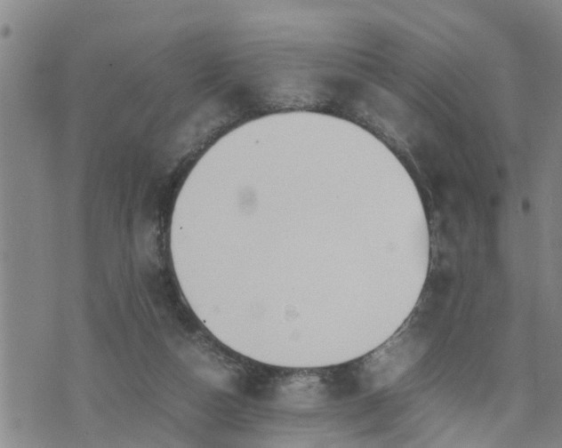 X0000074230162200609011250