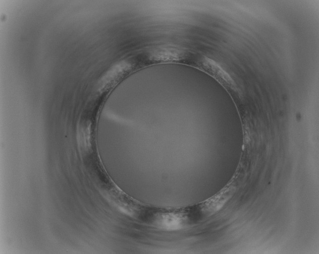 X0000074230163200609011250